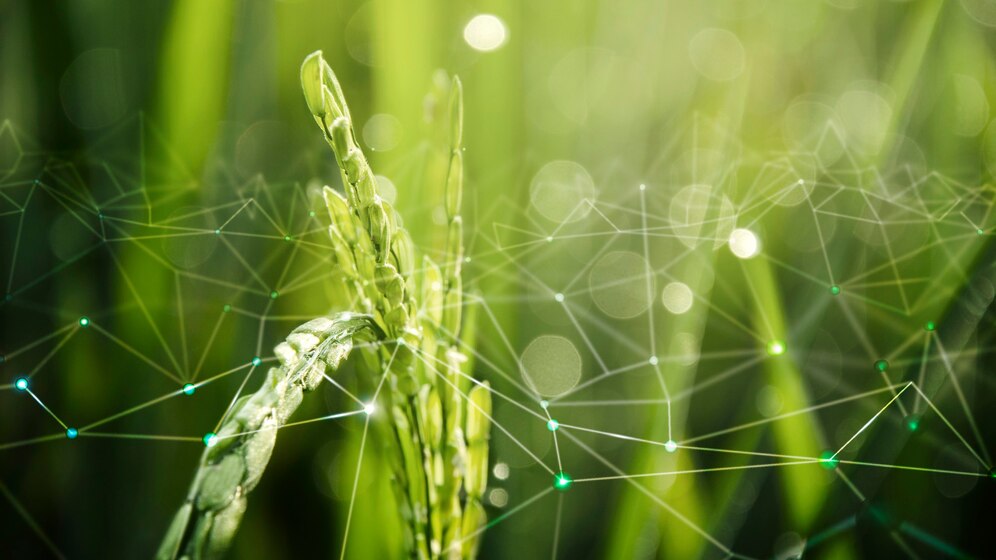 agriculture-iot-with-rice-field-background_53876-124635